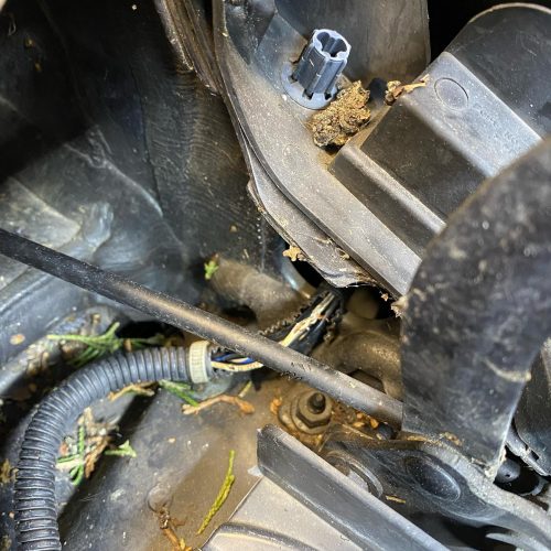 Vauxhall corsa oil leak from oil cooler and sump repair 5